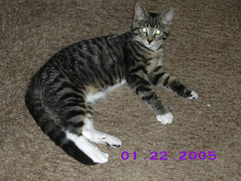 Image of jan22^09.jpg
